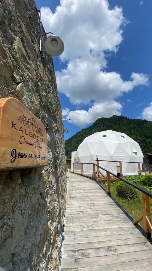 Hotel Kaledome Orman Evleri Çamlıhemşin Esterno foto